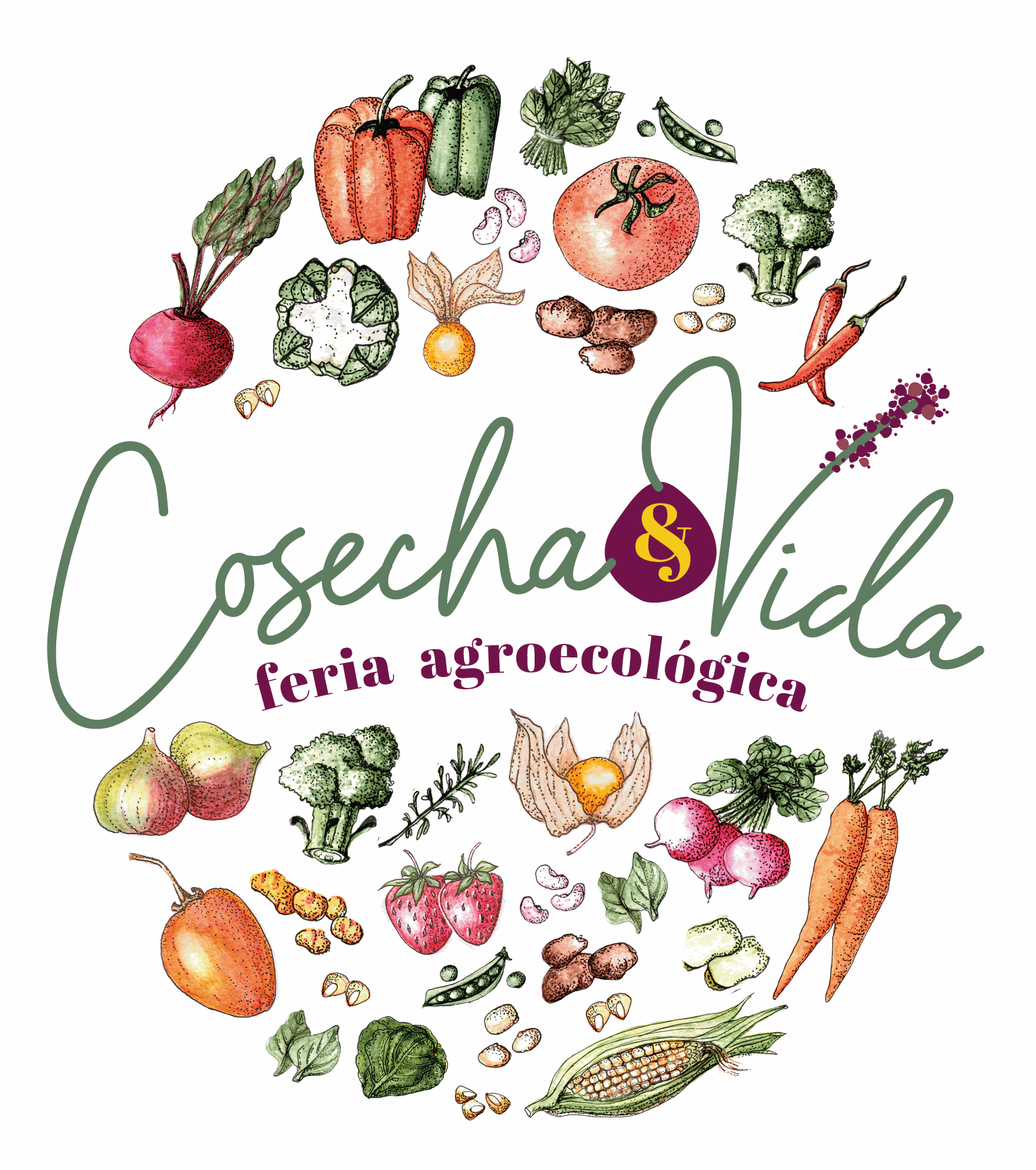 Odoo - Prueba 3 a tres columnas